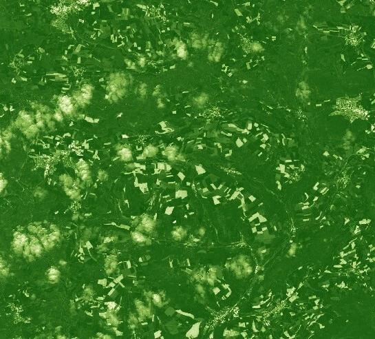 NDVI interpolated colormap