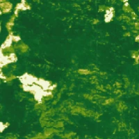 São Félix do Xingu, Brazil