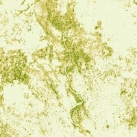 Atsimo-Andrefana, Madagascar