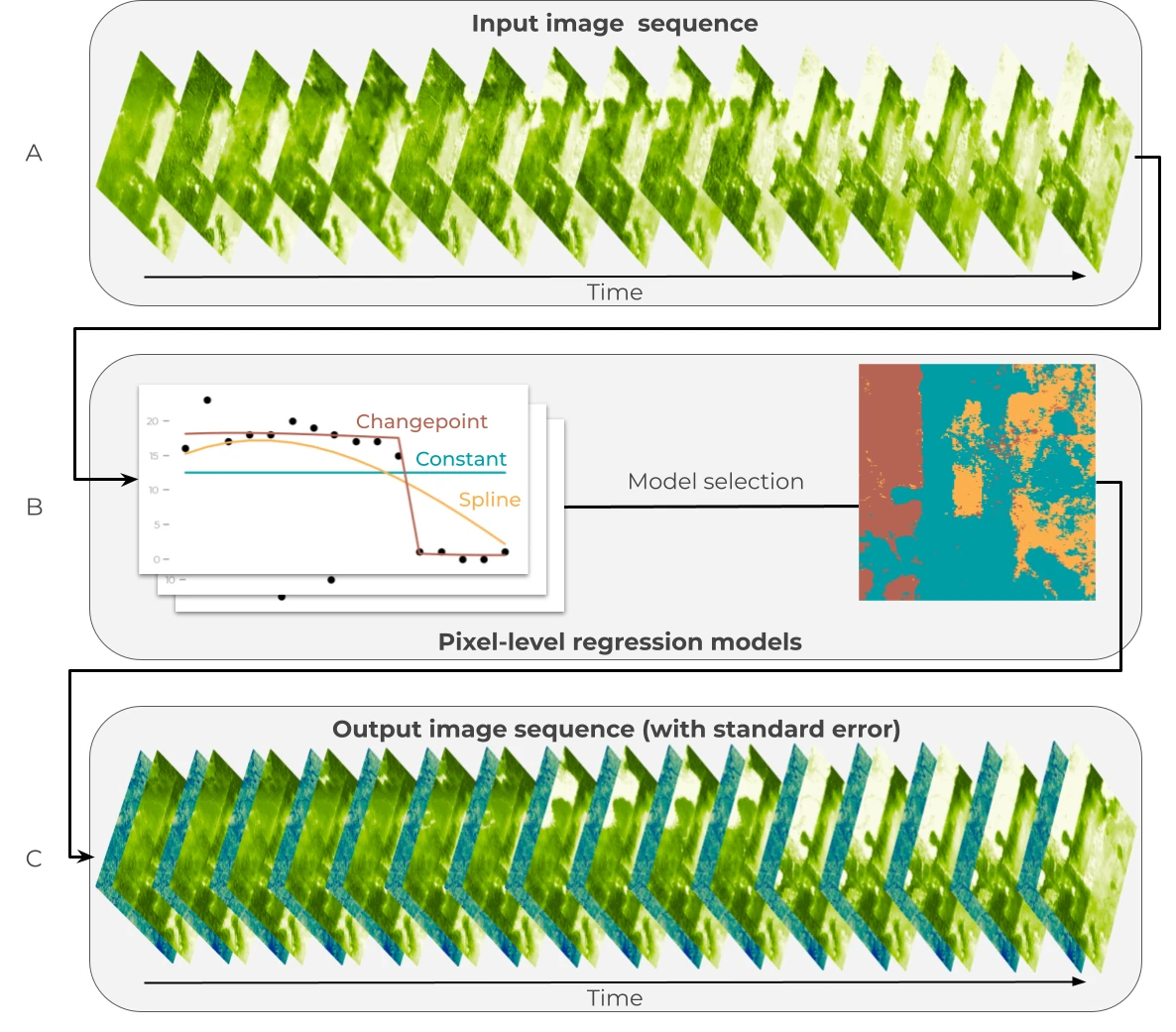 Figure 3: Statistical modeling for estimating canopy height and canopy cover over time.
(A) An image time series is generated from the raw predictions of the vision model for times t=1, … T.
(B) Three regression models are fit for each pixel: a constant model to represent the temporal mean (blue), a changepoint model to represent sudden change (red), and a spline model to represent gradual change (orange).
A model is selected for each pixel, with the preferred model color coded in the image on the right.
(C) The preferred model for each pixel is used to generate denoised predictions for each time step: expected values (green color ramp) and standard errors of the predictions (blue color ramp).