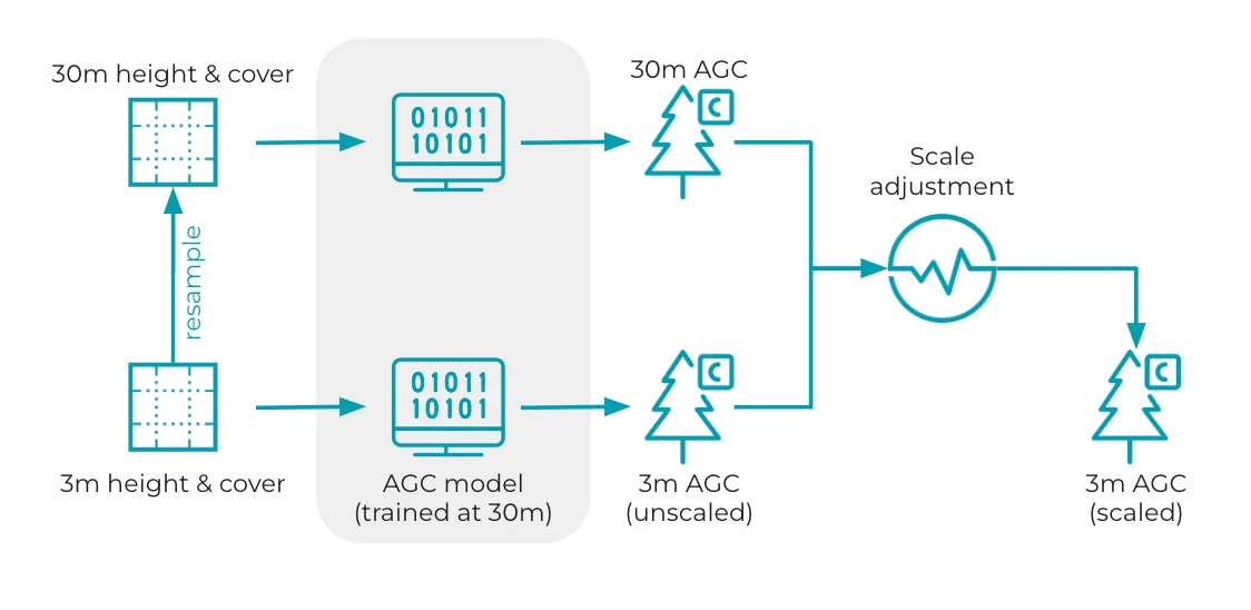 Figure 4: Overview of 3m aboveground carbon estimation. First, 3m height and cover data are average resampled to 30m. The 3m and 30m data are then provided separately as inputs to the AGC model (natively trained at 30m). This produces 3m and 30m carbon predictions. To ensure that the average of 3m AGC data equals the average of the 30m data, we apply a scale adjustment to the 3m data based on the ratio of 30m and unscaled 3m means.