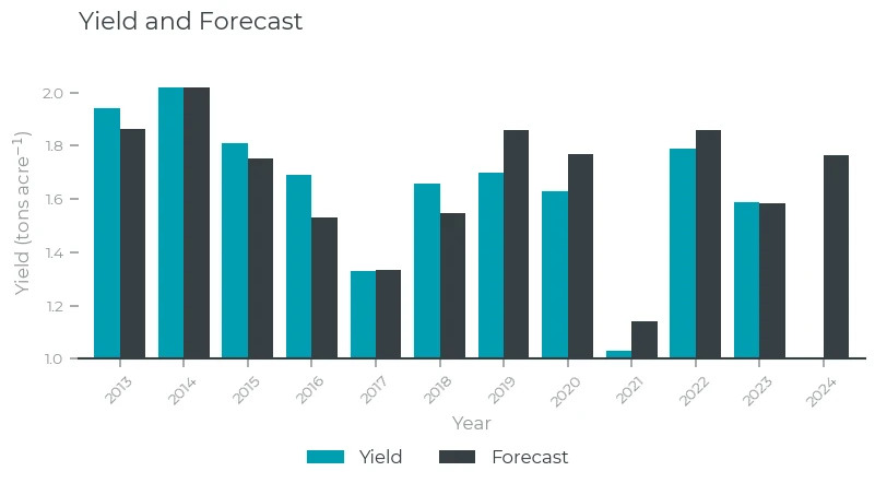 Yield and Forecast (2024)