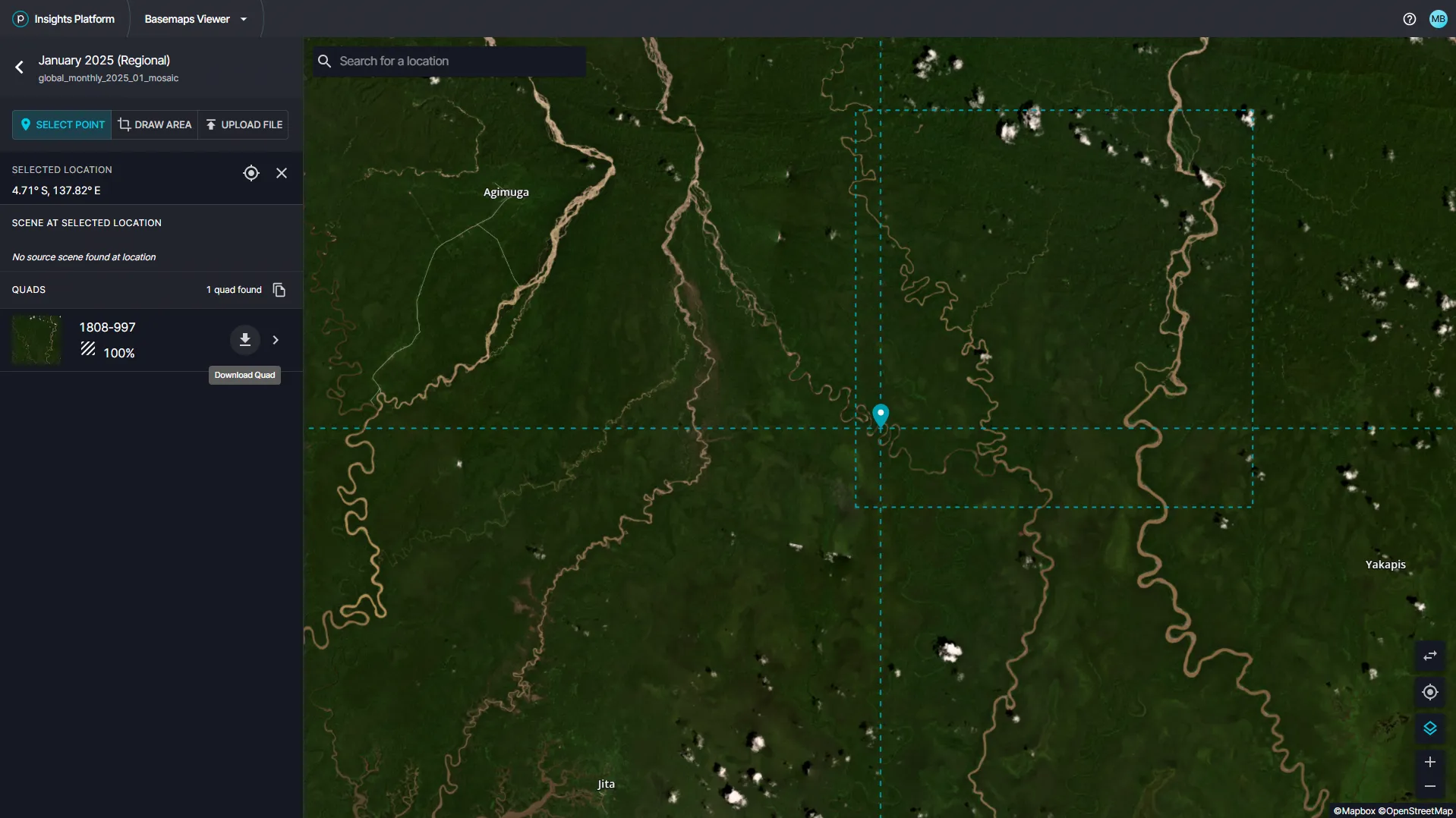 Download Basemap quads locally